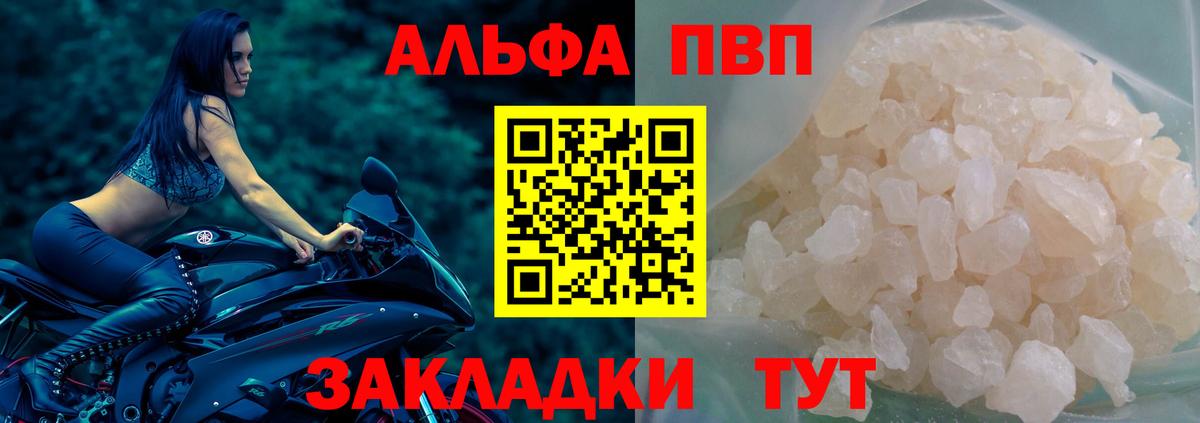 Альфа ПВП СК Елец