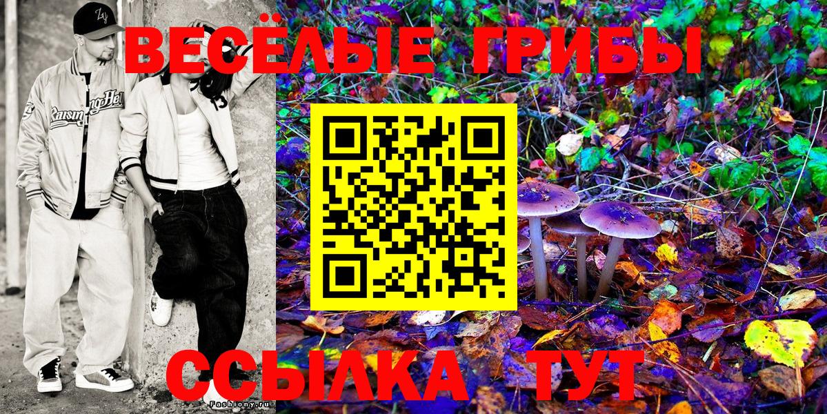 Псилоцибиновые грибы Cubensis  Вход с VPN  Елец 